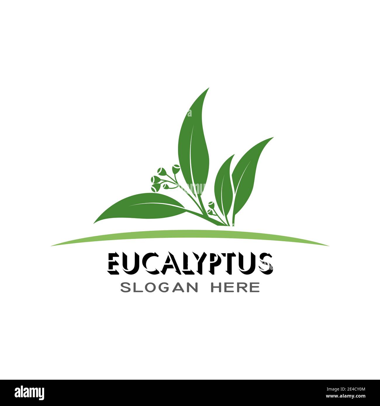 EUCALYPTUS